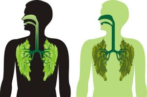 Green gap green lungs